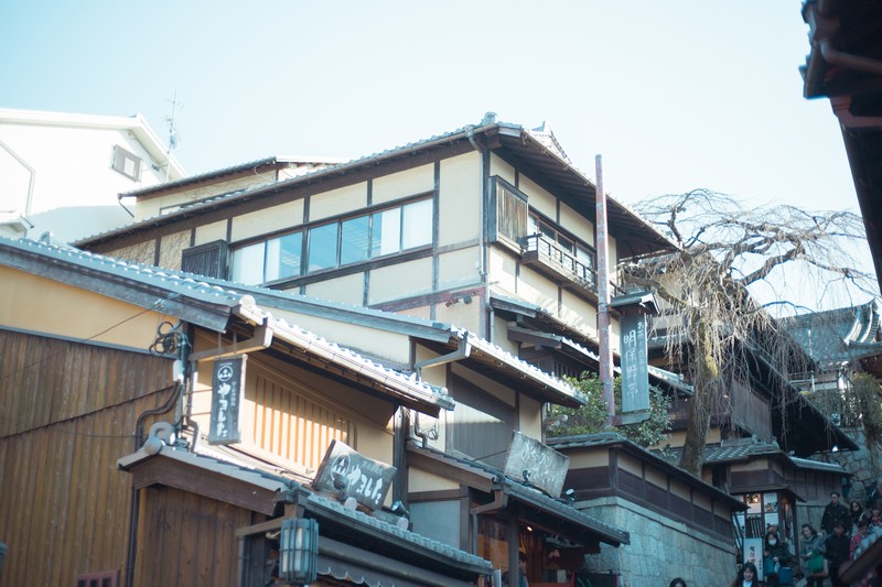 京都、宇治自由行
