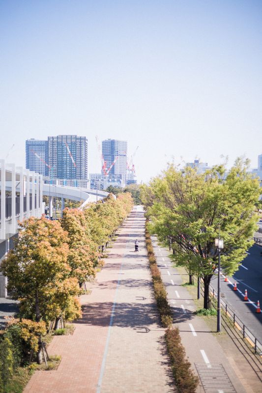 豐州市場 | 東京自由行